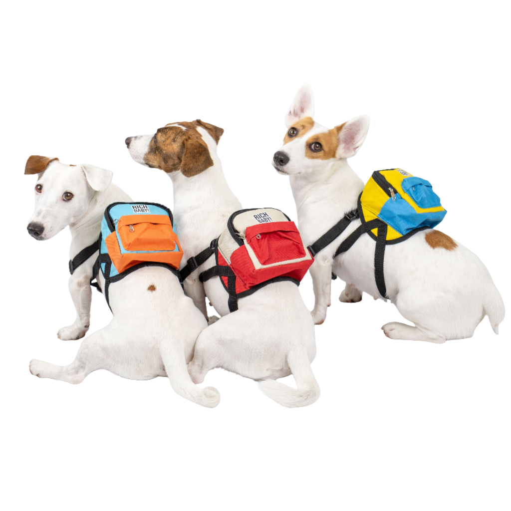 CLAWSET Studio | Harness - Rich Bag