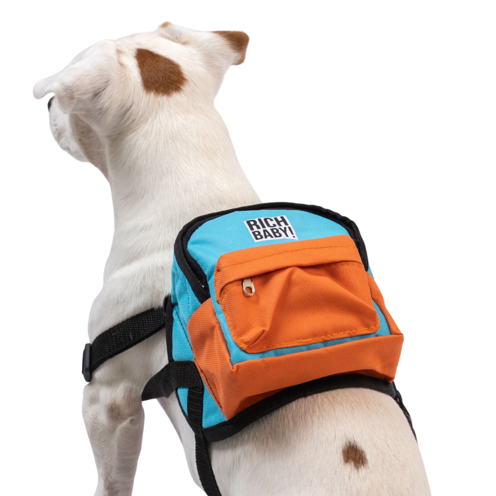 CLAWSET Studio | Harness - Rich Bag