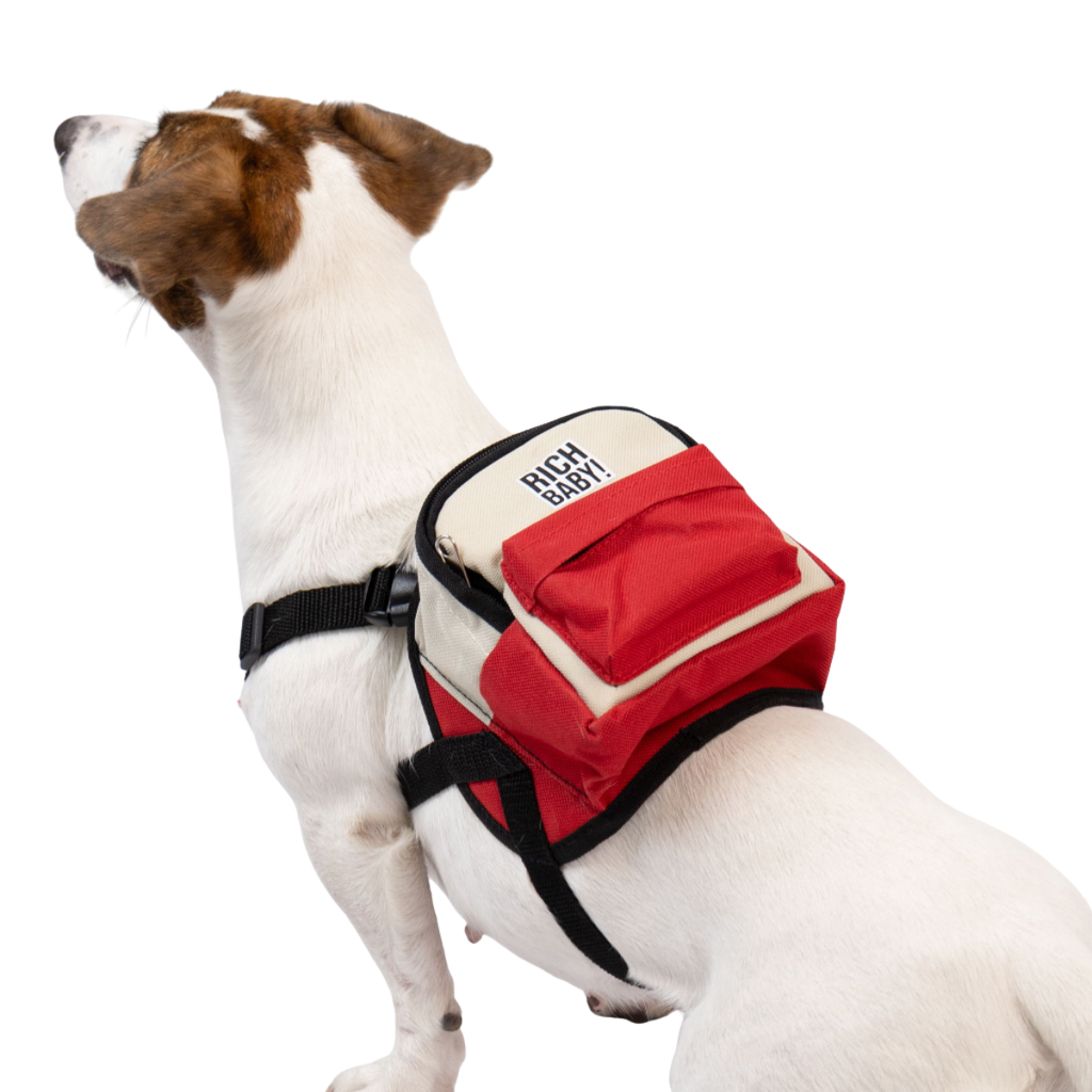 CLAWSET Studio | Harness - Rich Bag