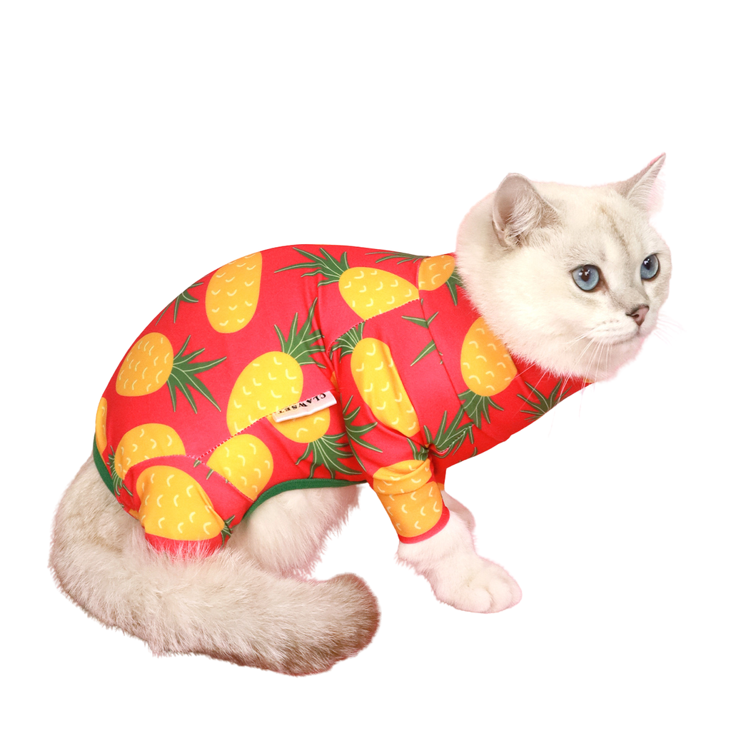 CLAWSET Studio | Fruity Protection suit - Pineapple - CLAWSET BANGKOK