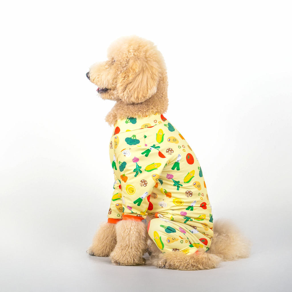 CLAWSET Studio | Veggie Protection suit - Mixed Salad - CLAWSET BANGKOK