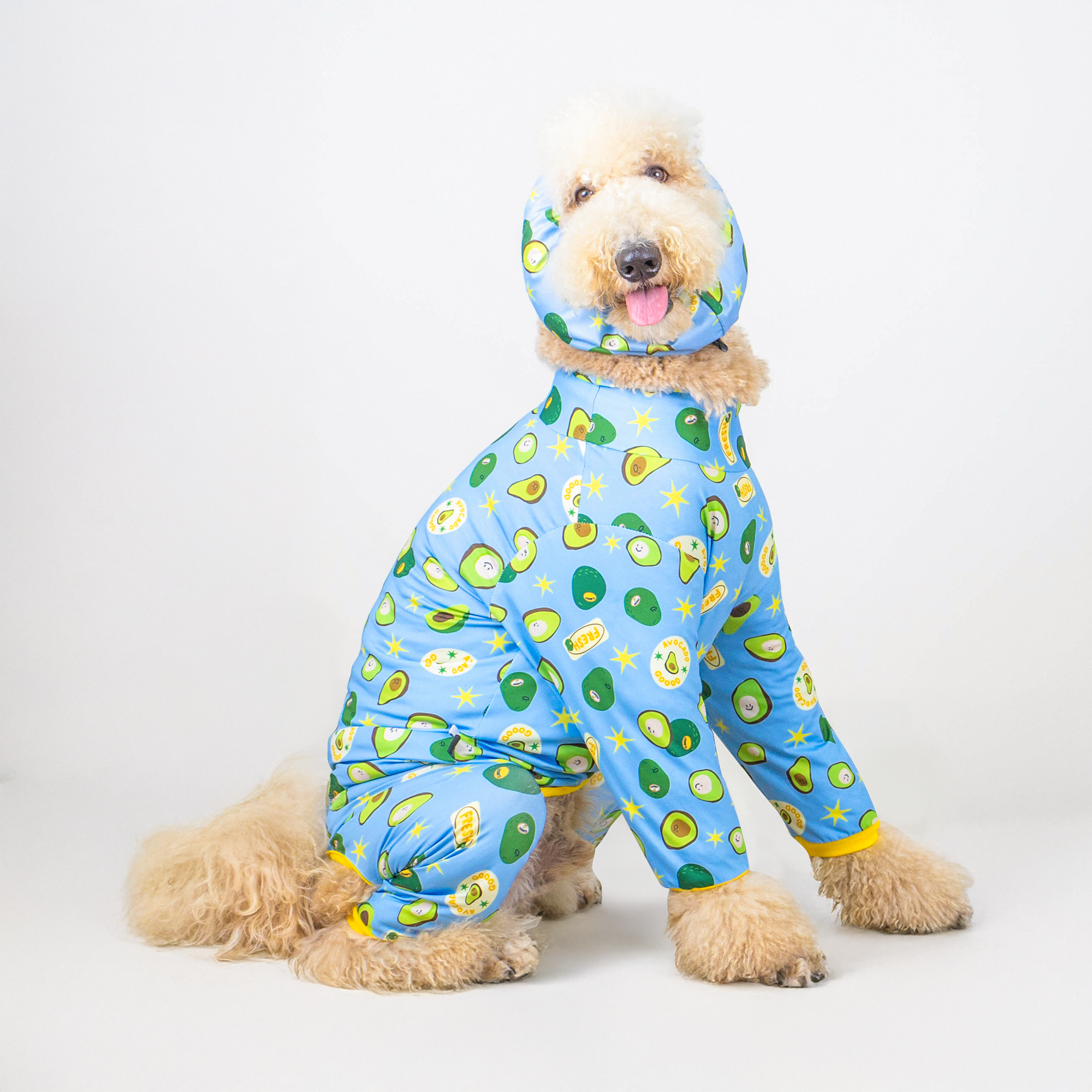 CLAWSET Studio | Veggie Protection suit - Avocado