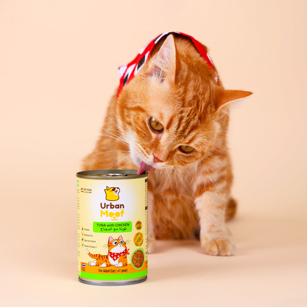 URBAN MOOF | WET CAT FOOD -  TUNA WITH CHICKEN