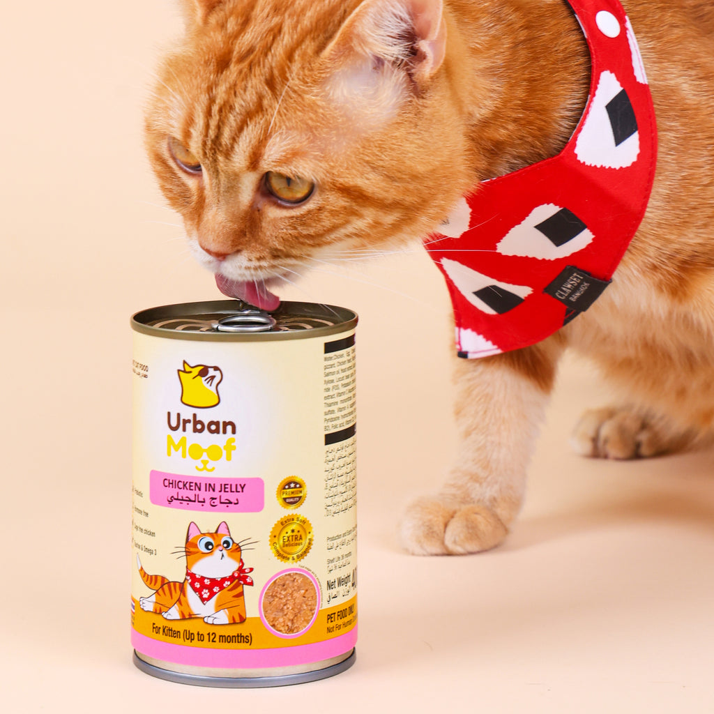 URBAN MOOF | WET CAT FOOD -  CHICKEN IN JELLY FOR KITTEN