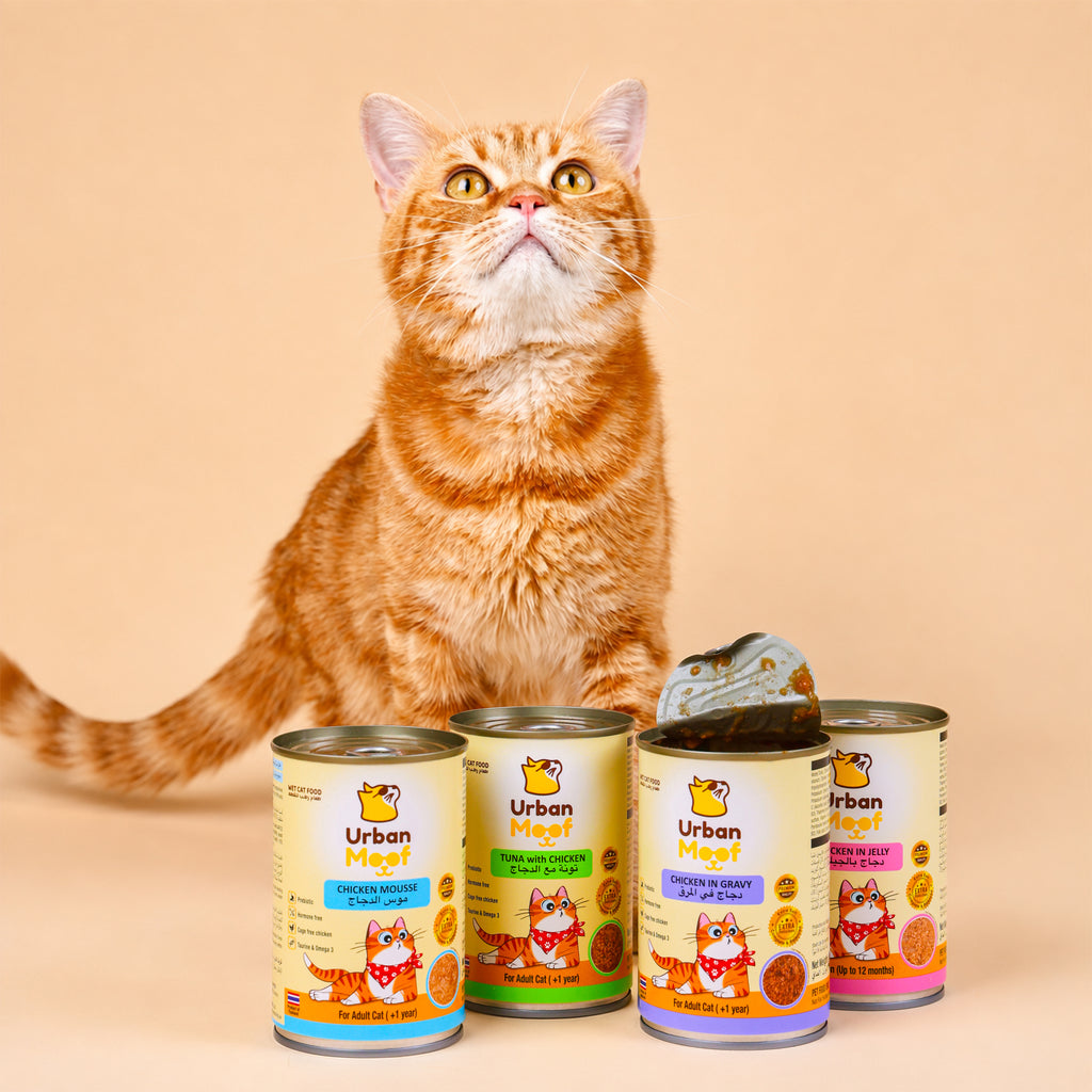 URBAN MOOF | WET CAT FOOD -  CHICKEN IN GRAVY