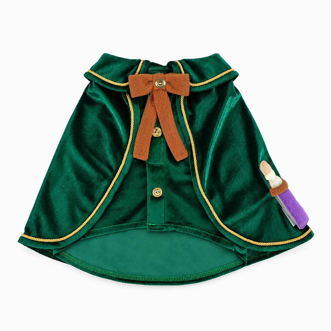 CLAWSET Studio® | Magician Academy -  Potion Master
