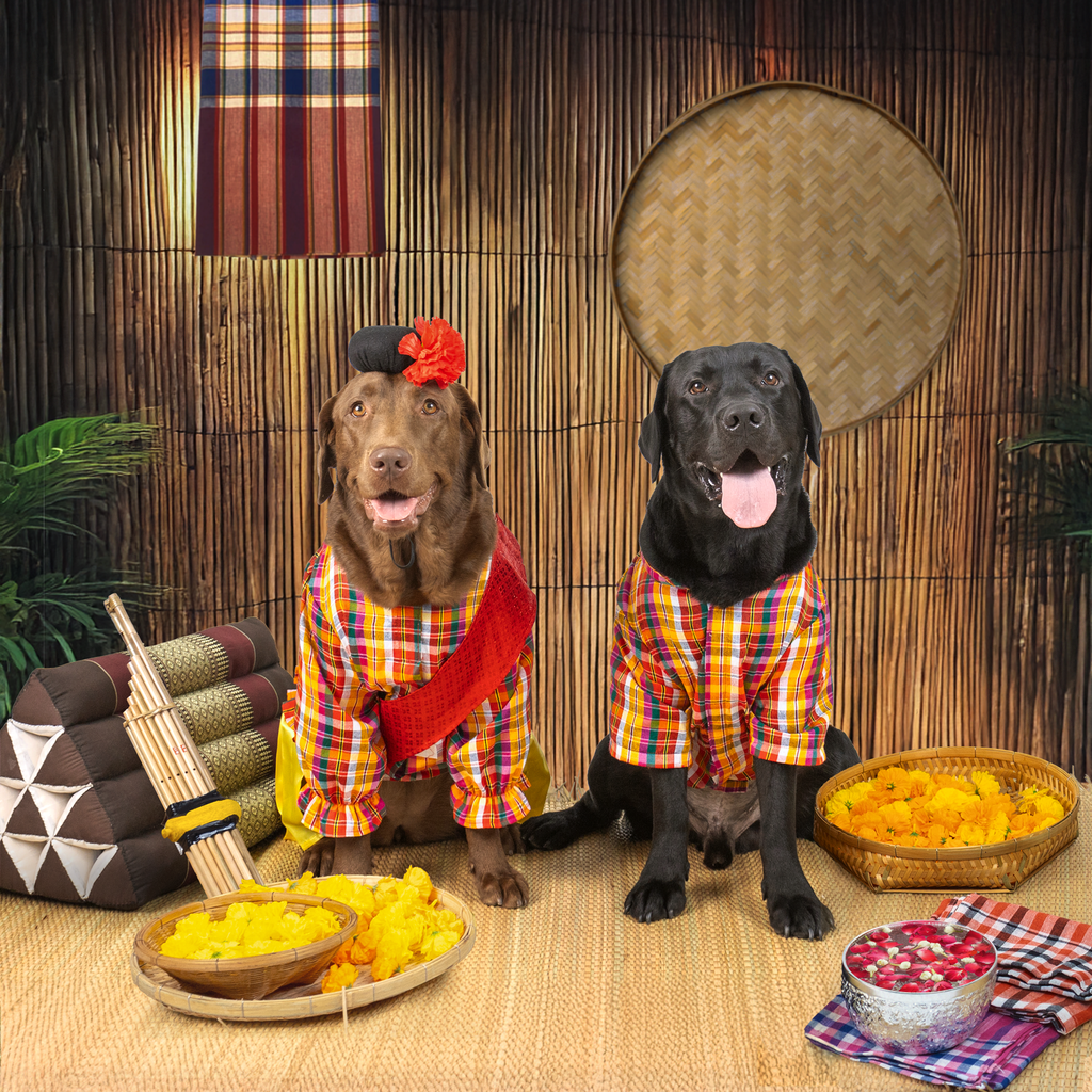 CLAWSET Studio | Amazing Thailand Collection