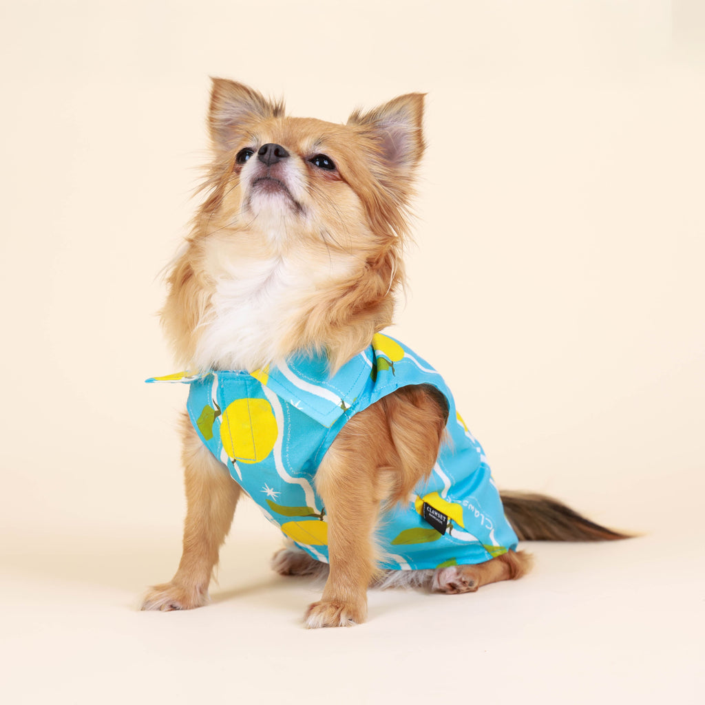 CLAWSET Studio | Hawaii Italian Collection -  Shirt - Lemon
