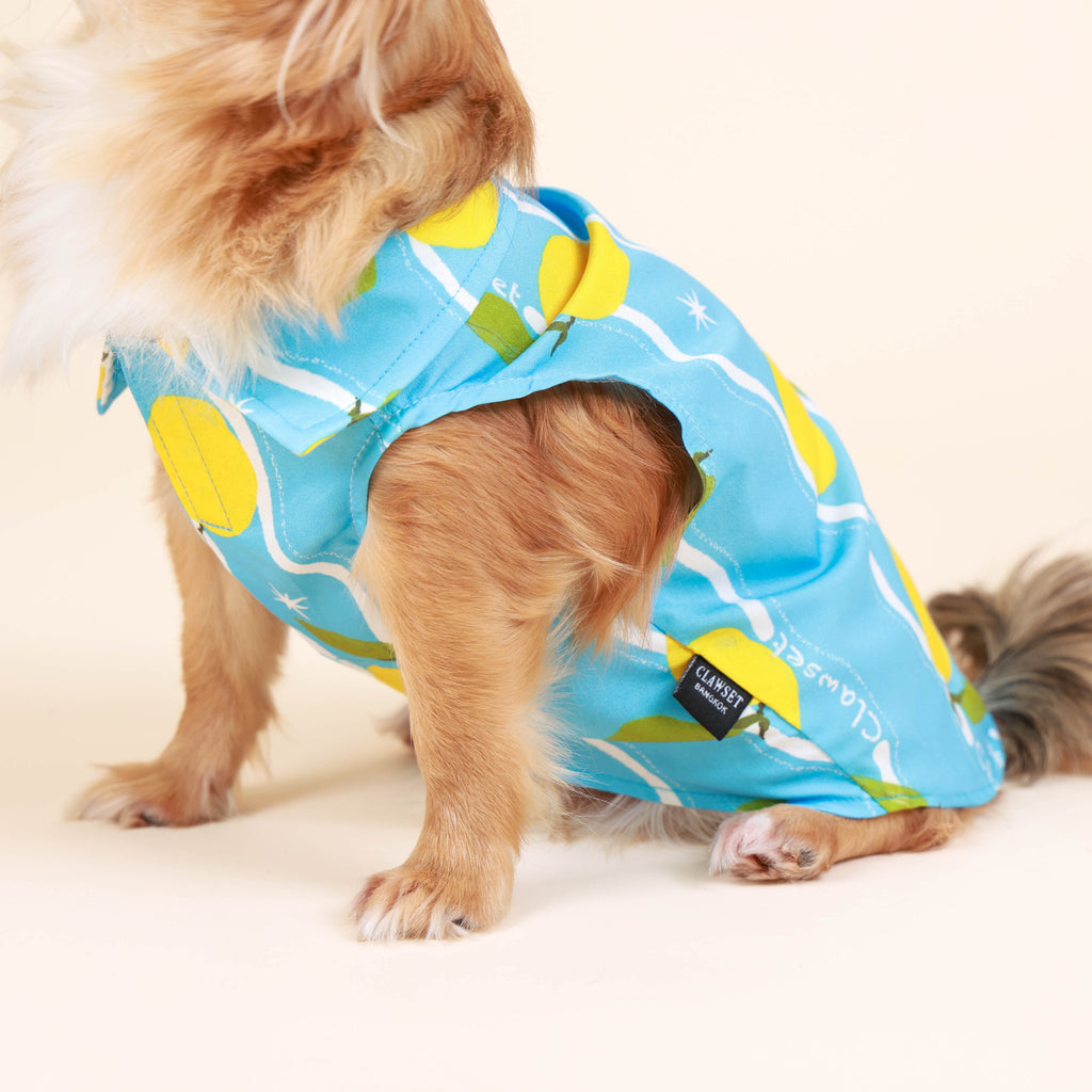 CLAWSET Studio | Hawaii Italian Collection -  Shirt - Lemon