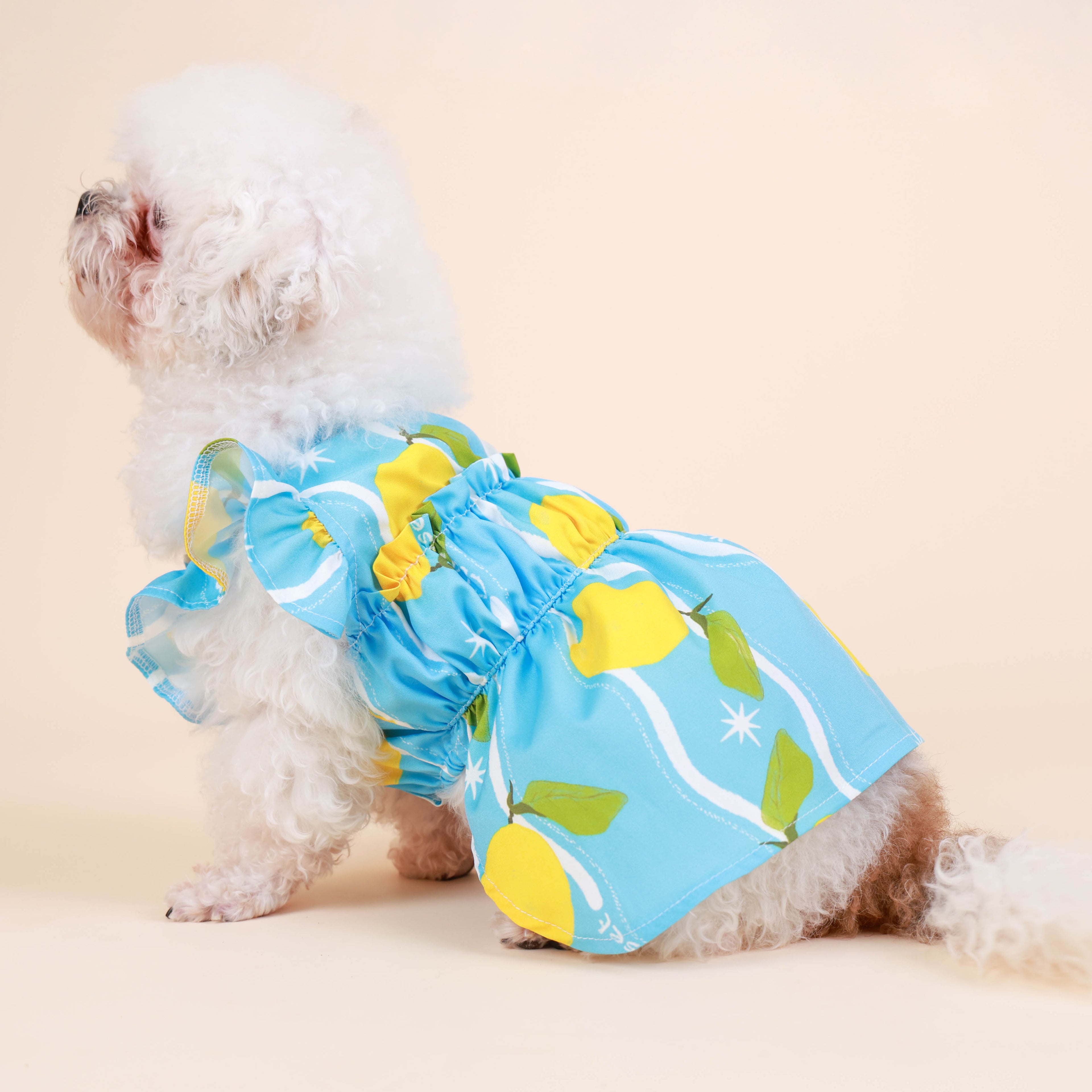 CLAWSET Studio | Hawaii Italian Collection -  Dress - Lemon