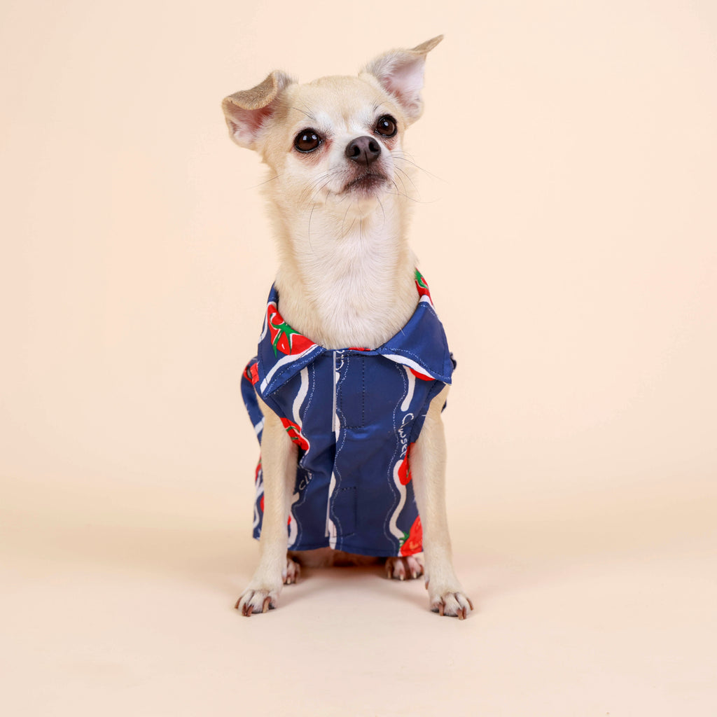 CLAWSET Studio | Hawaii Italian Collection -  Shirt - Tomato