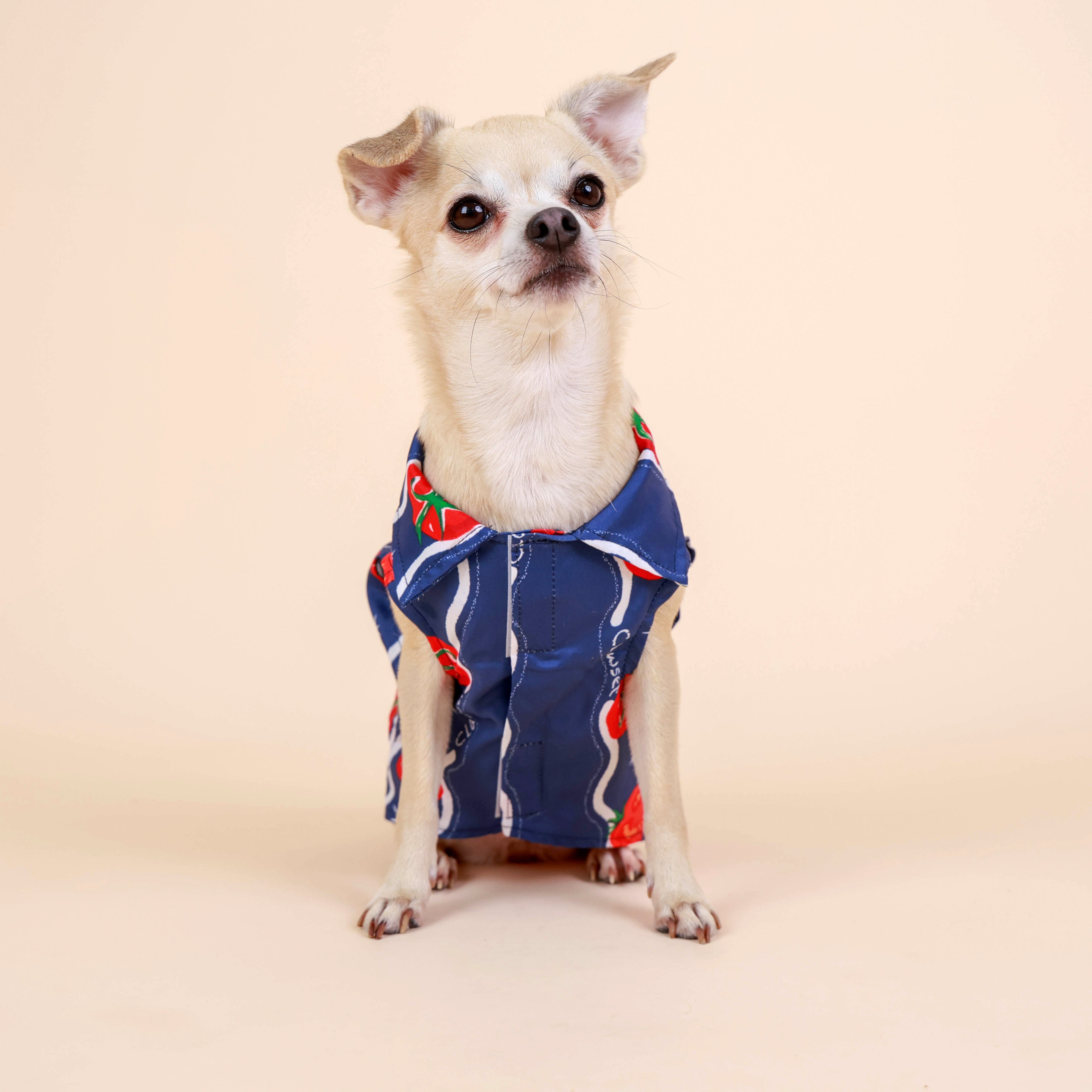 CLAWSET Studio | Hawaii Italian Collection -  Shirt - Tomato