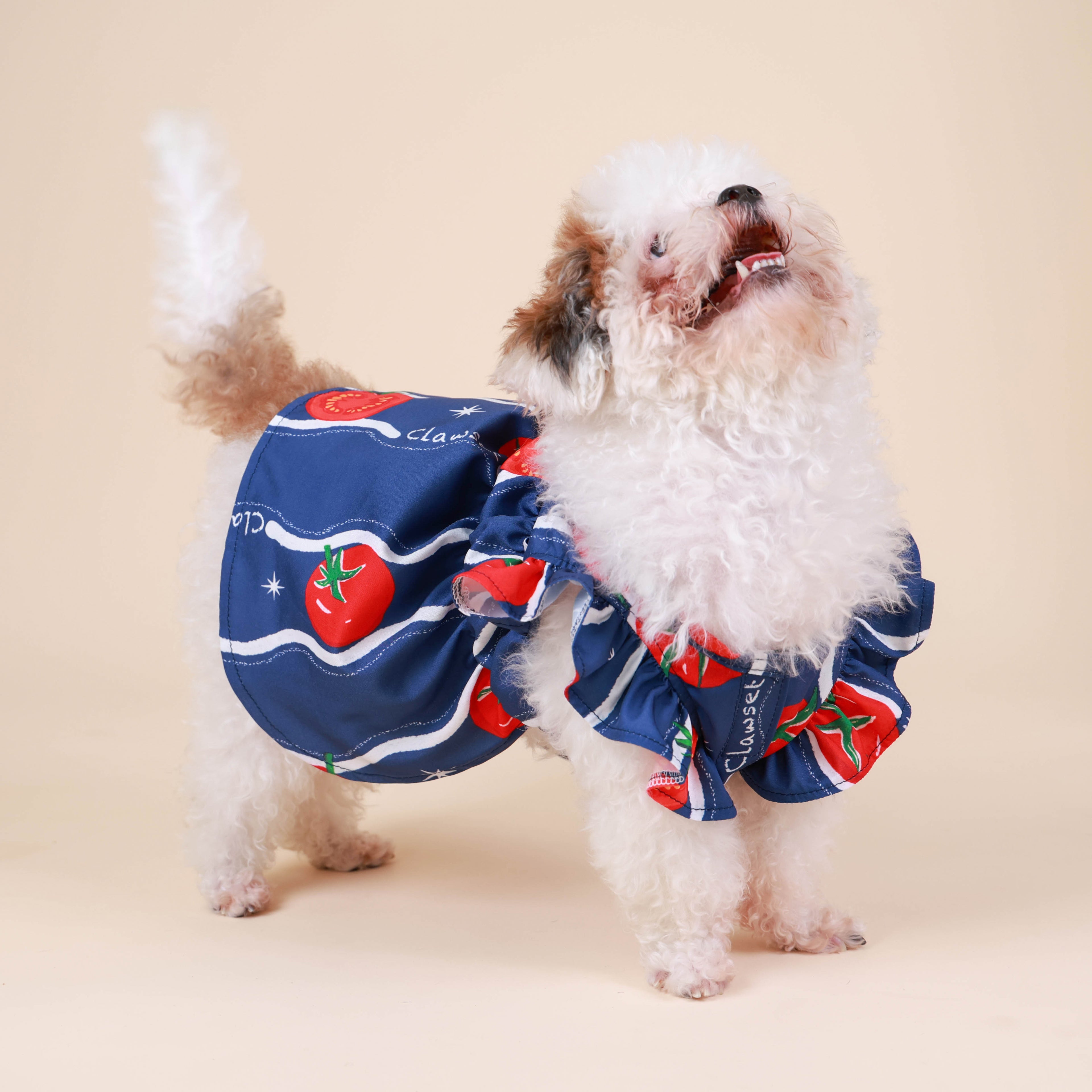 CLAWSET Studio | Hawaii Italian Collection -  Dress - Tomato