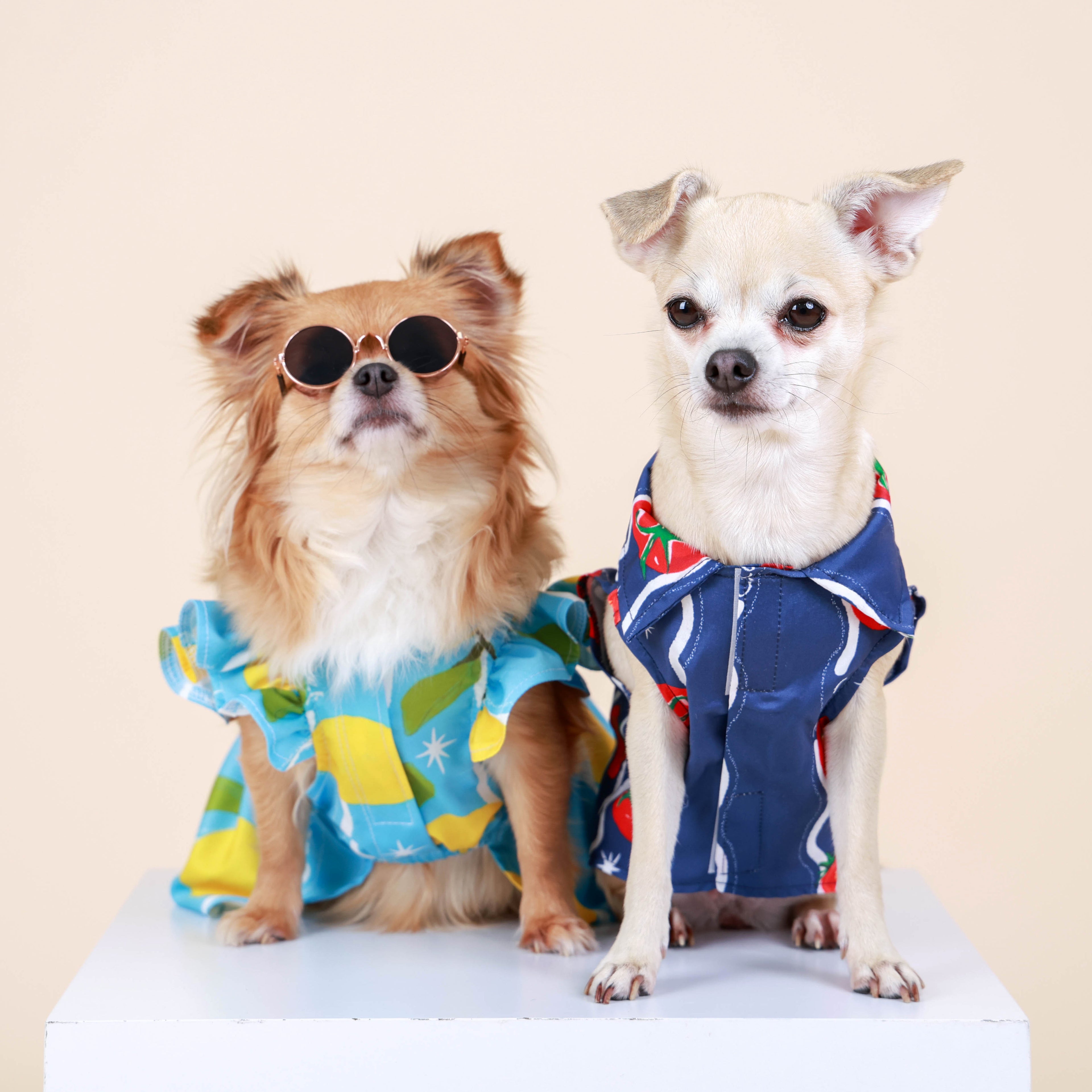 CLAWSET Studio | Hawaii Italian Collection -  Shirt - Tomato