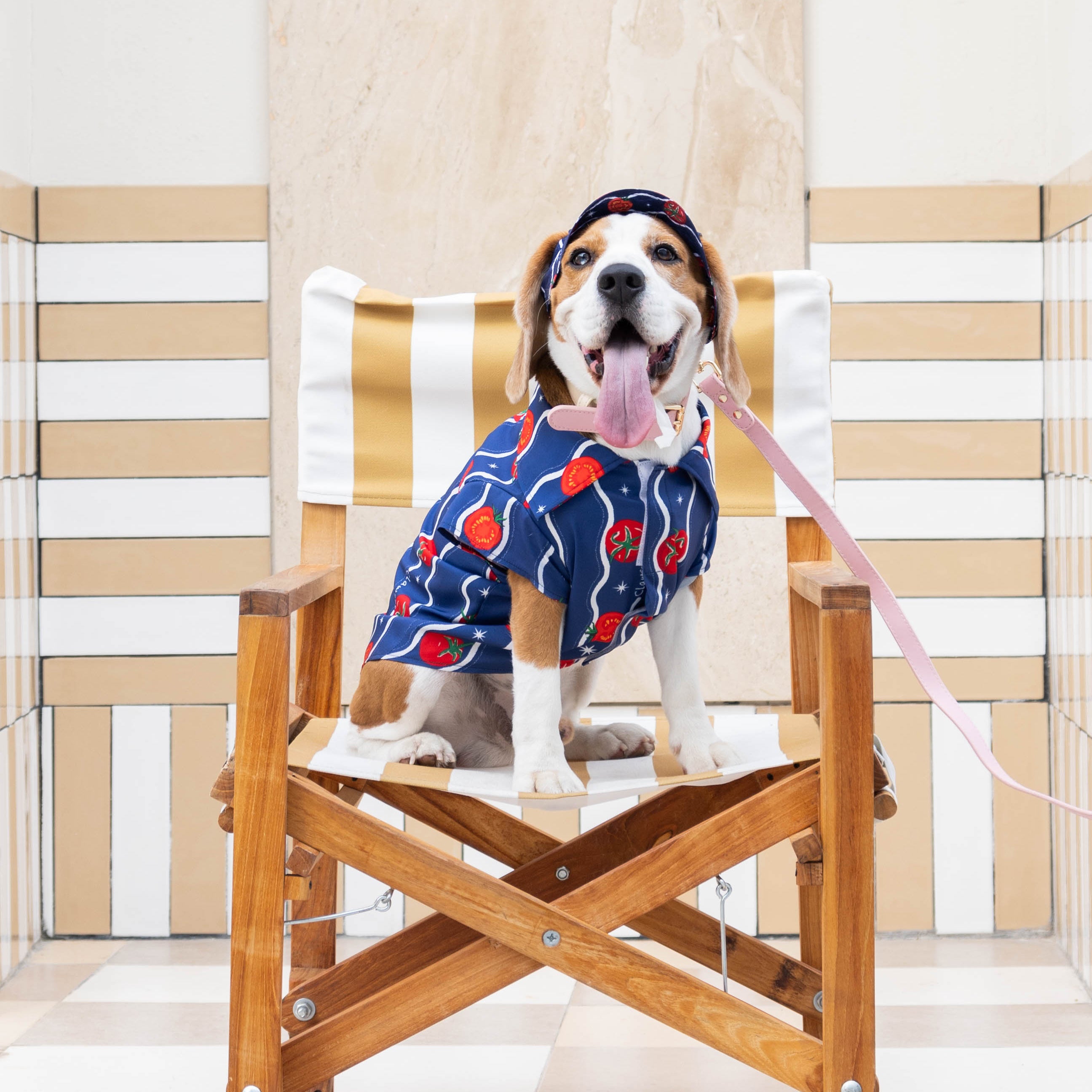 CLAWSET Studio | Italian Summer -Pet Hat- Tomato