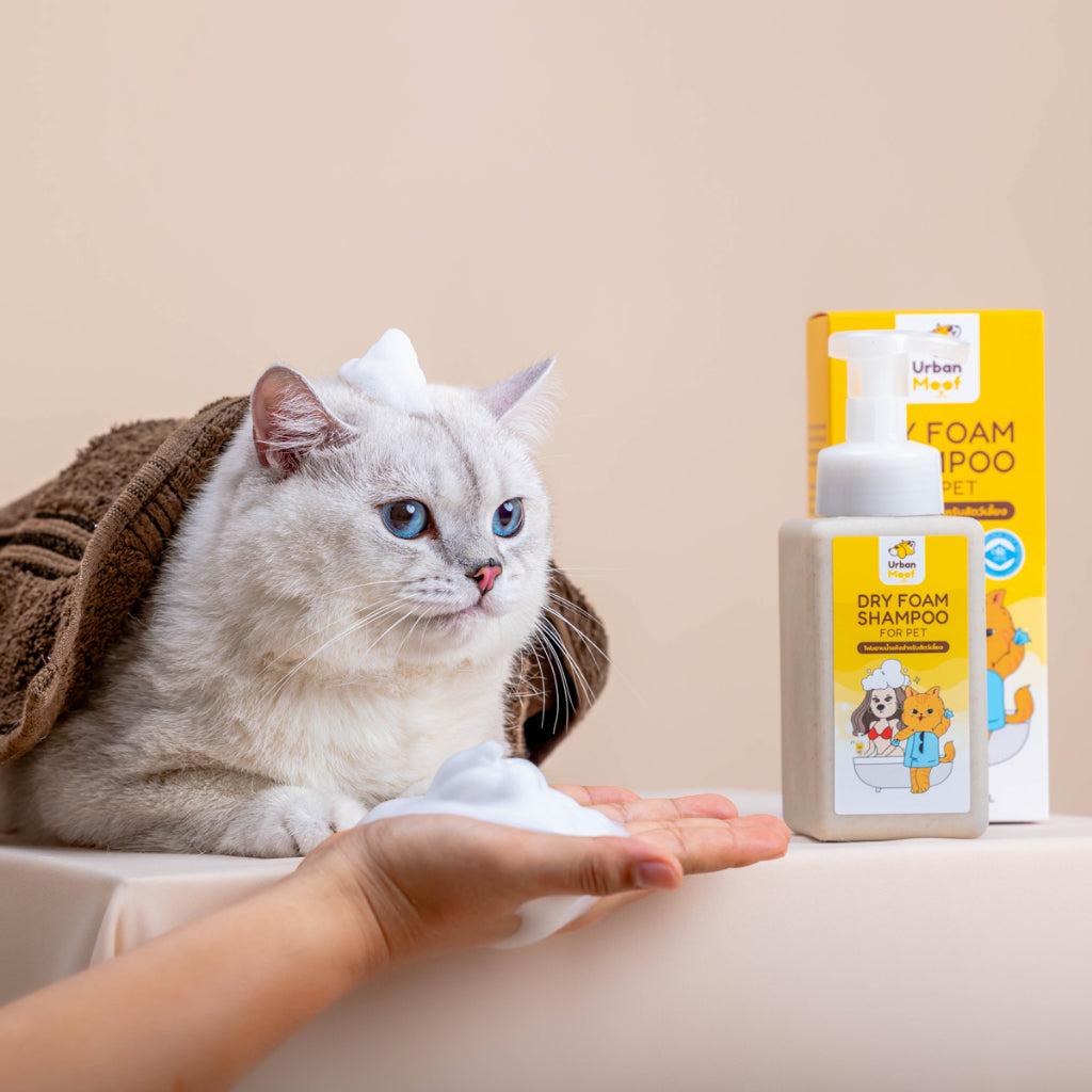 URBAN MOOF | GROOMING -Foaming Pet Shampoo