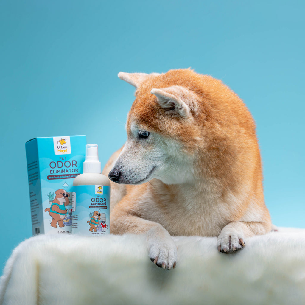 URBAN MOOF | GROOMING - Pet Deodorant Spray