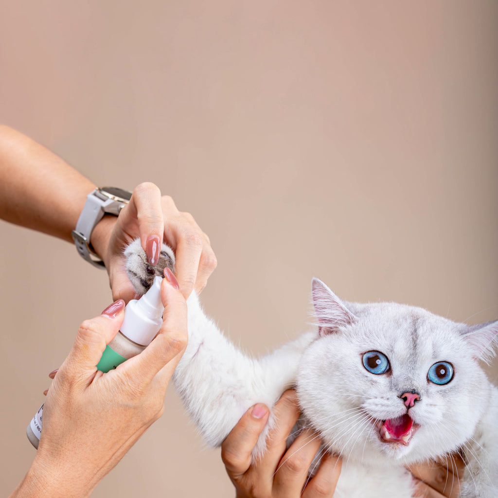 URBAN MOOF | GROOMING -Pet Serum