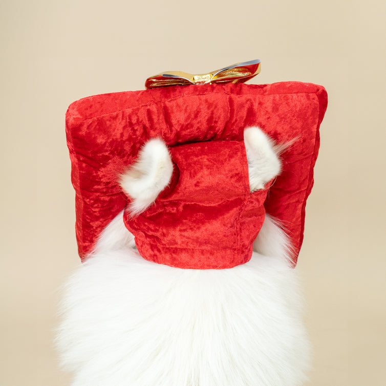CLAWSET Pet&Play | Christmas Headwear - Gift