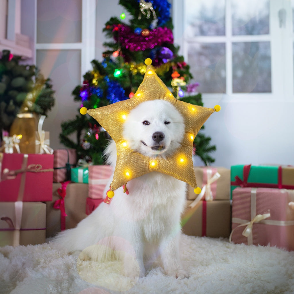CLAWSET Pet&Play | Christmas Headwear - Star