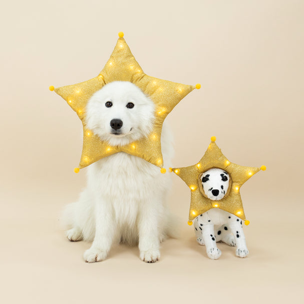 CLAWSET Pet&Play | Christmas Headwear - Star
