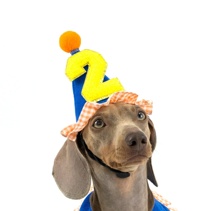 CLAWSET Studio | Birthday Collection - Birthday Baby Hat-Blue