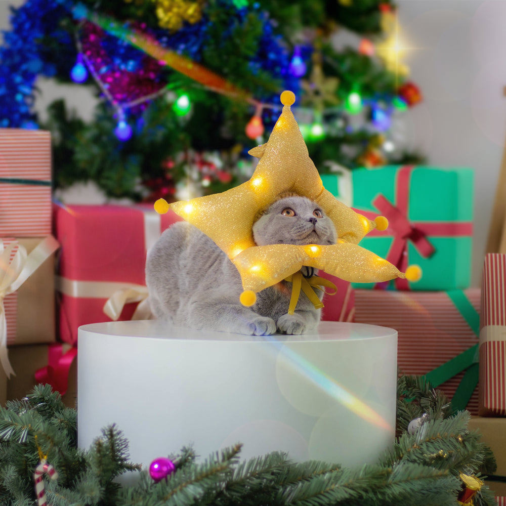 CLAWSET Pet&Play | Christmas Headwear - Star