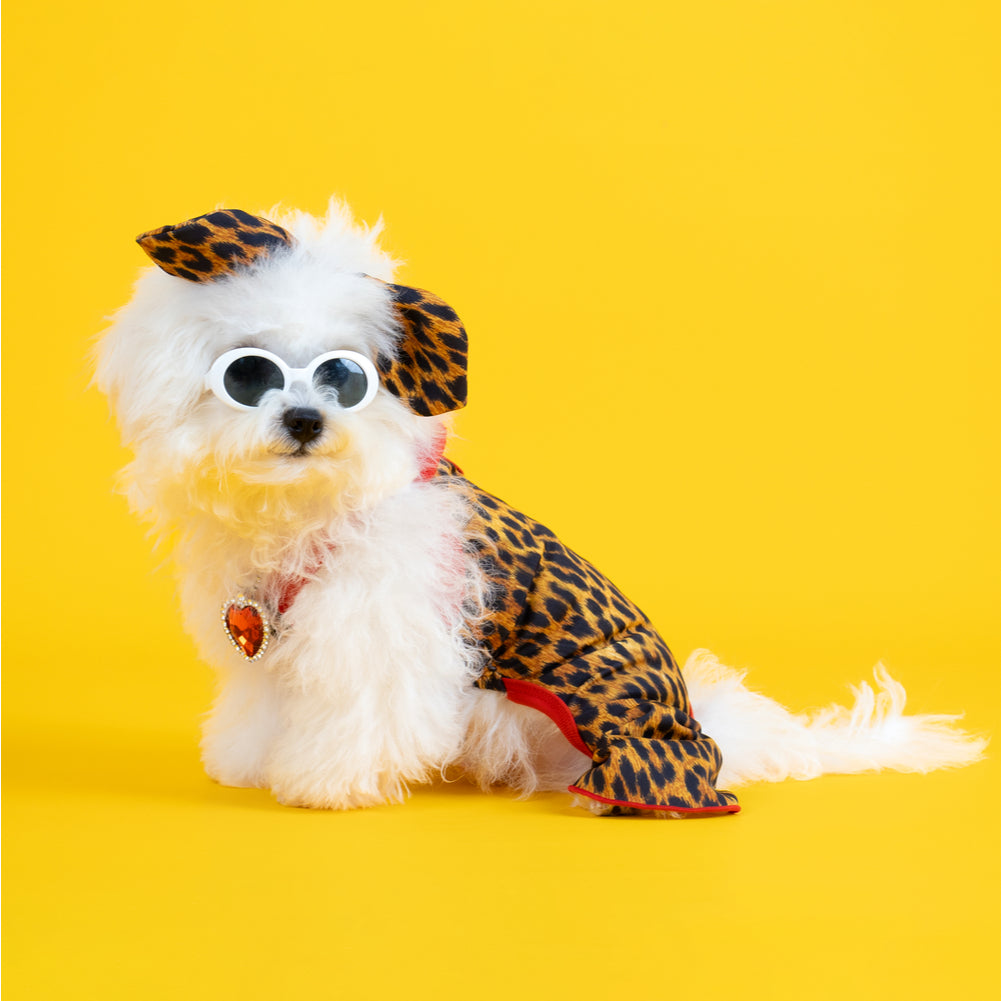 CLAWSET Studio® | Party Animal - Leopard