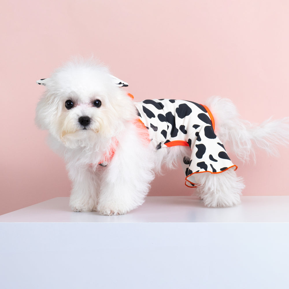 CLAWSET Studio® | Party Animal - Cow Print