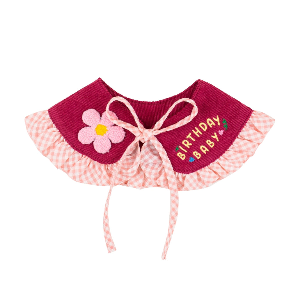 CLAWSET Studio | Birthday Collection - Birthday Baby Collar -Pink