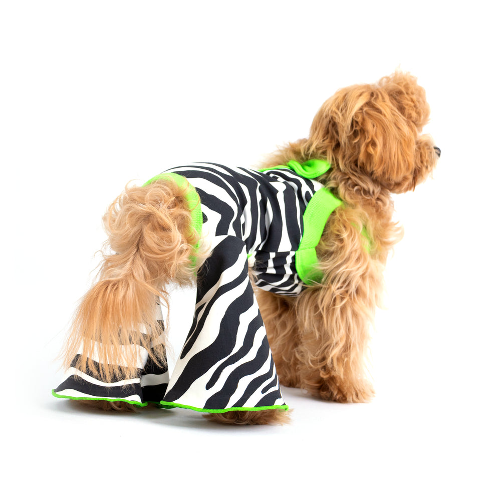CLAWSET Studio® | Party Animal - Zebra
