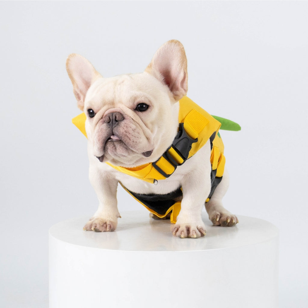 CLAWSET Studio | Life Jacket -Frog