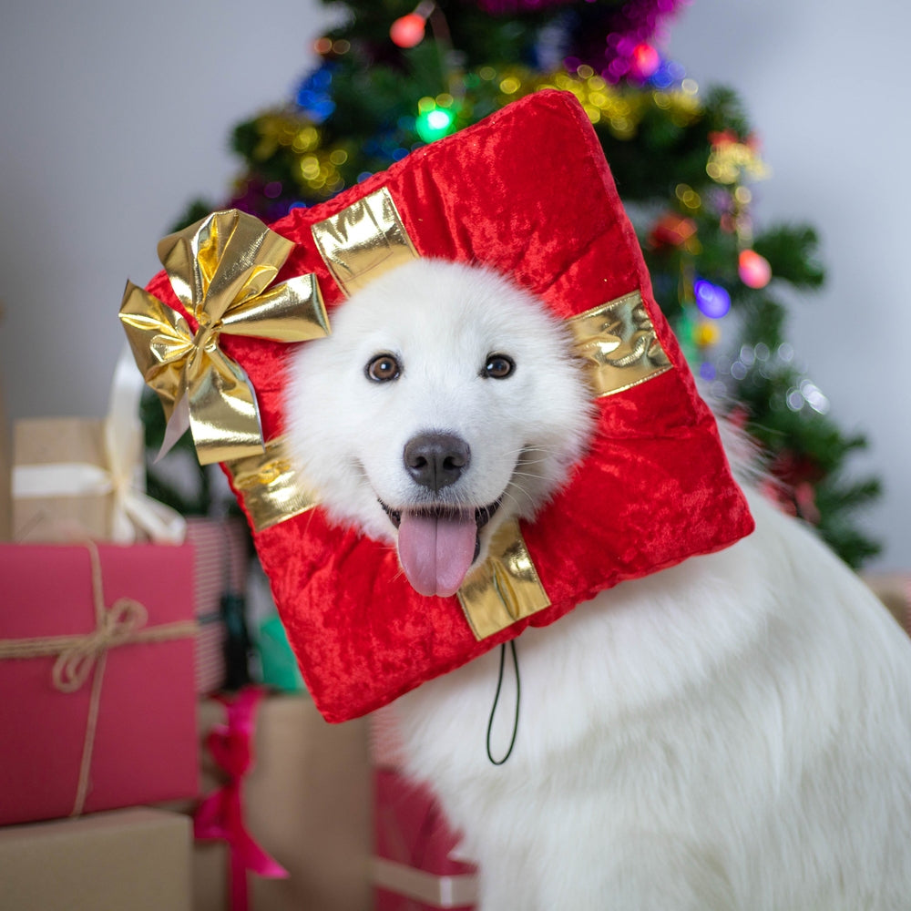 CLAWSET Pet&Play | Christmas Headwear - Gift