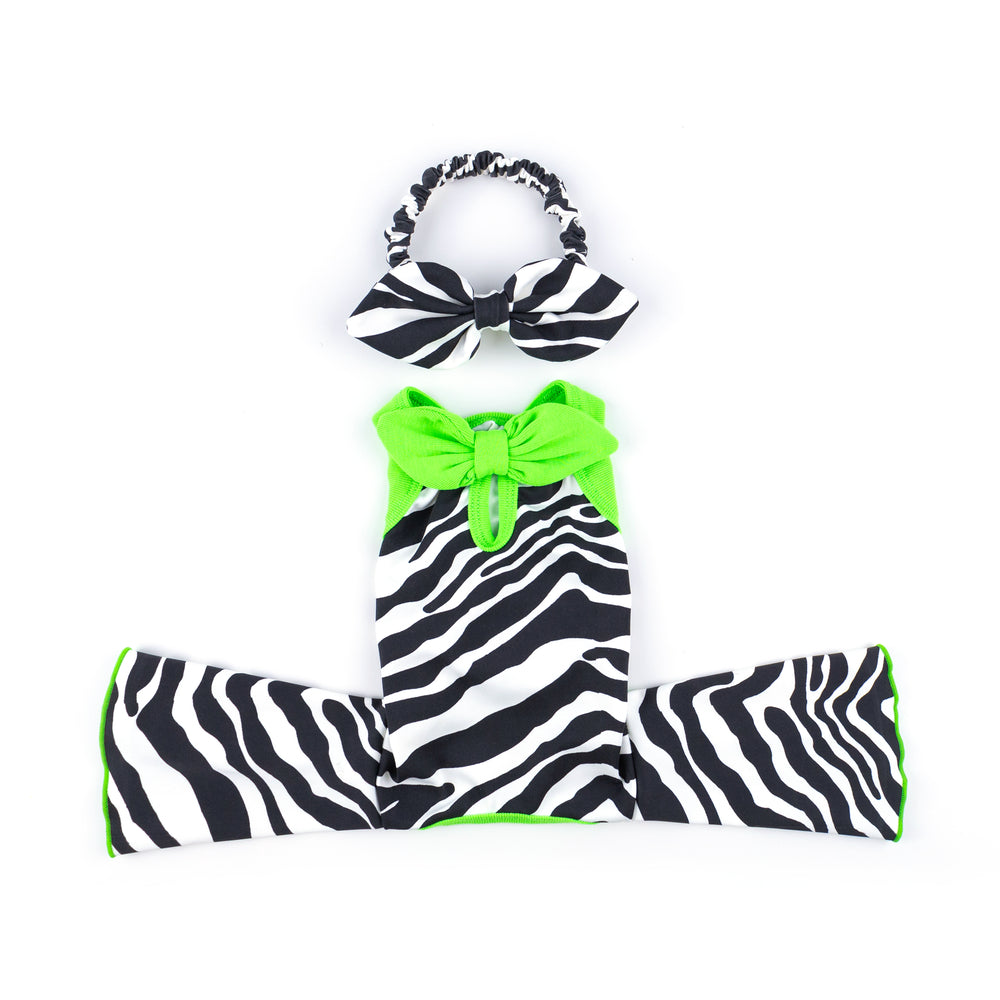 CLAWSET Studio® | Party Animal - Zebra