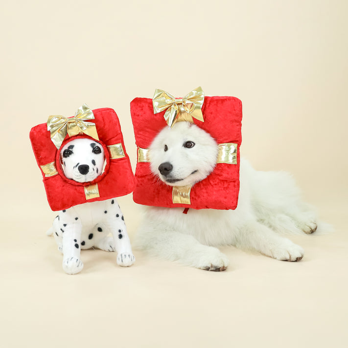 CLAWSET Pet&Play | Christmas Headwear - Gift
