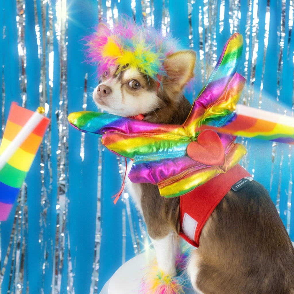 CLAWSET Studio® | Pride Collection - Wing Zapp Set  เซ็ทคอสตูมไพรด์ Pride