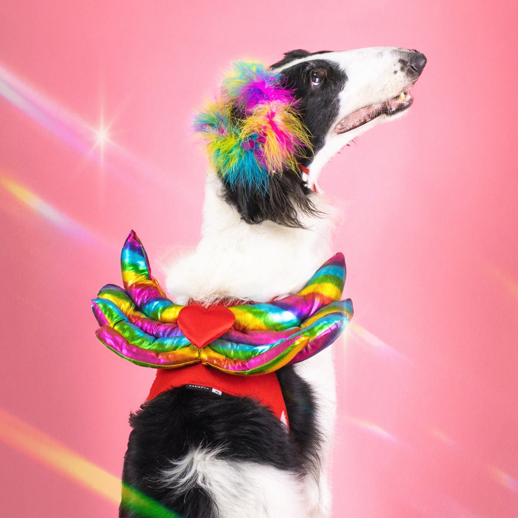 CLAWSET Studio® | Pride Collection - Wing Zapp Set  เซ็ทคอสตูมไพรด์ Pride