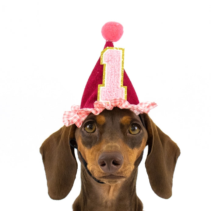 CLAWSET Studio | Birthday Collection - Birthday Baby Hat-Pink
