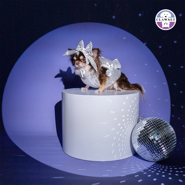 CLAWSET Studio® | After Party - Silver
