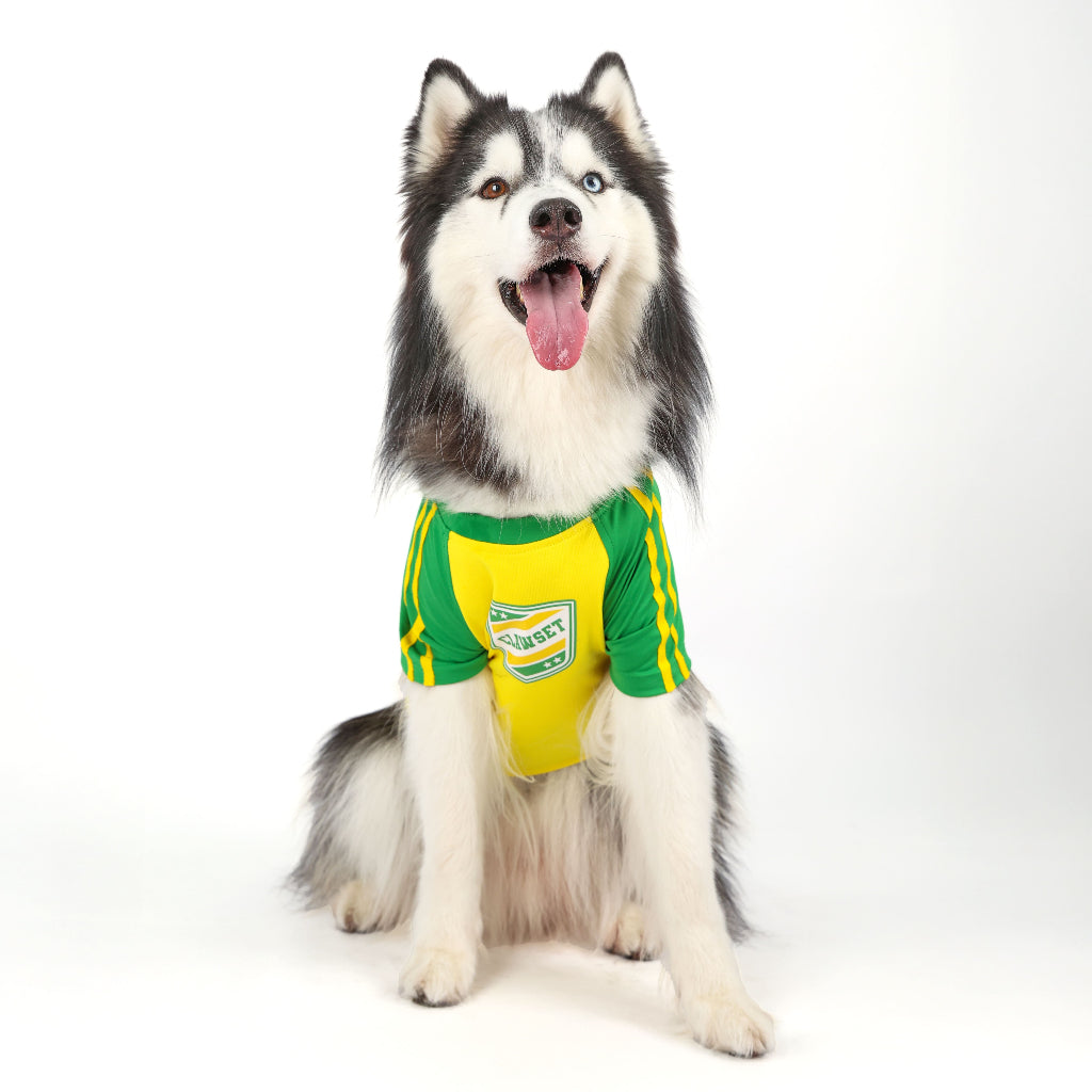 CLAWSET Studio® | PAW WORLD CUP 2026 -BRAZIL เสื้อฟุตบอลสัตว์เลี้ยงทีมชาติบราซิล