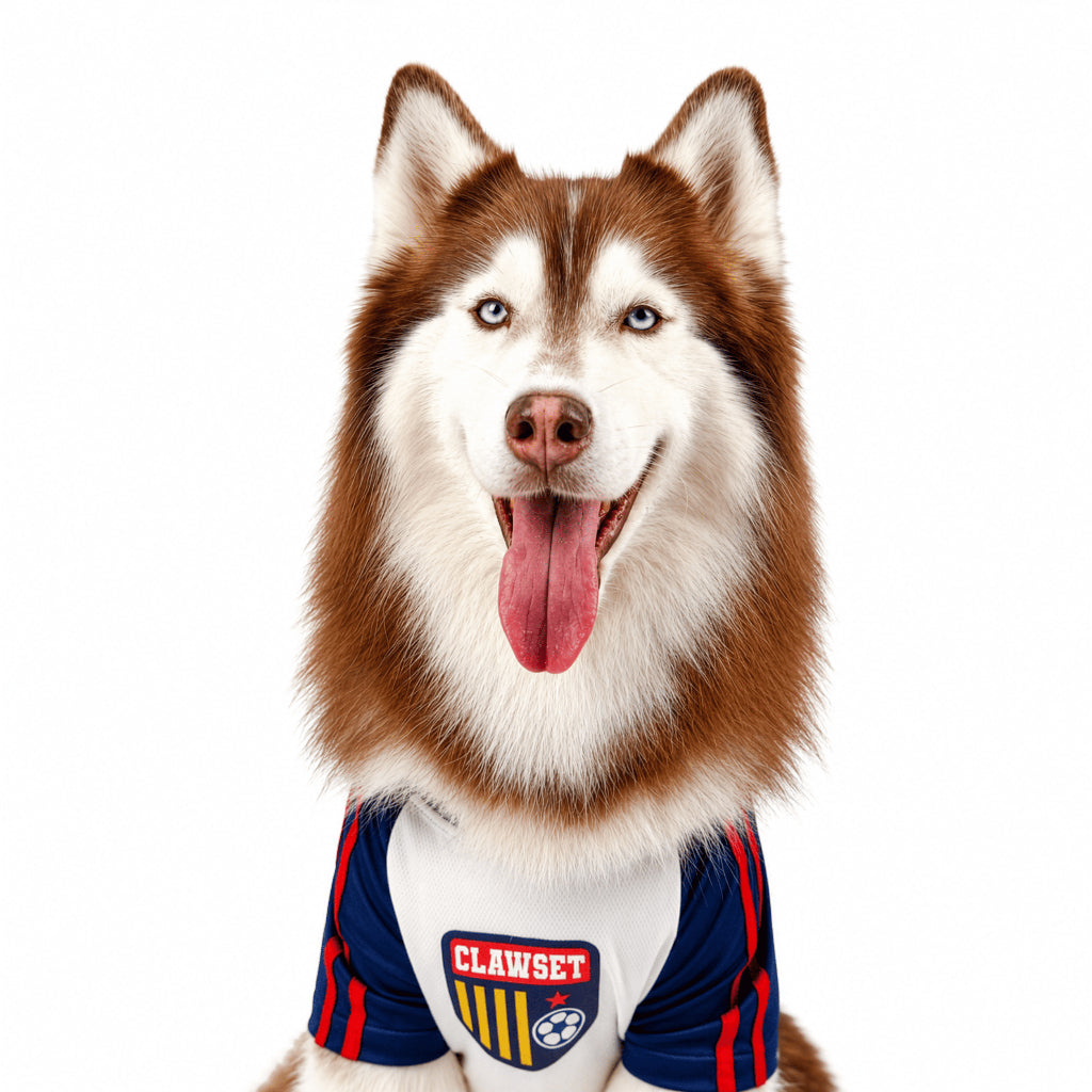 CLAWSET Studio® | PAW WORLD CUP 2026 - ENGLAND เสื้อฟุตบอลสัตว์เลี้ยงทีมชาติอังกฤษ