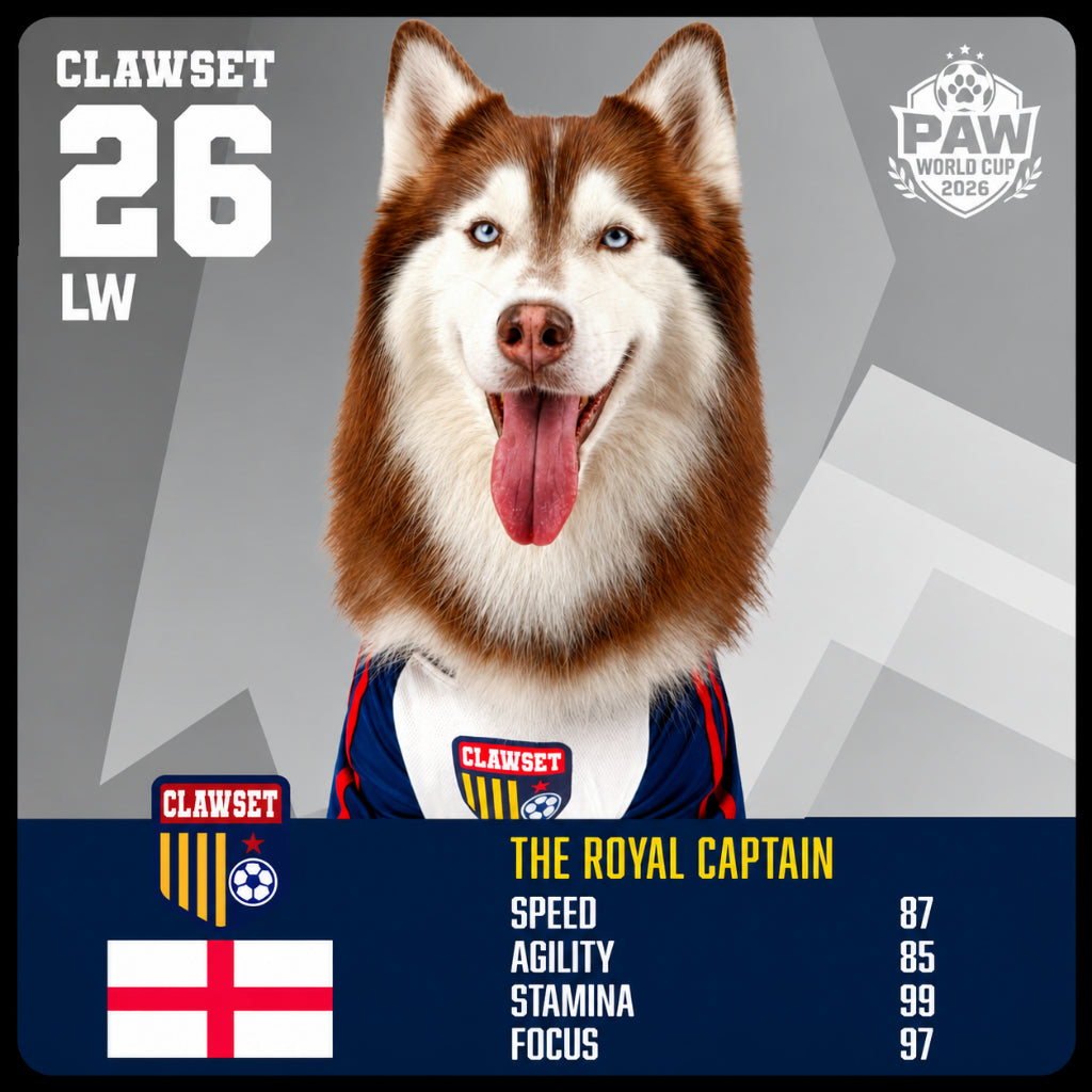 CLAWSET Studio® | PAW WORLD CUP 2026 - ENGLAND เสื้อฟุตบอลสัตว์เลี้ยงทีมชาติอังกฤษ