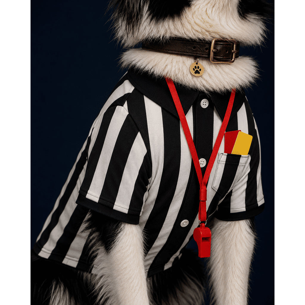 CLAWSET Studio® | PAW WORLD CUP 2026 -เสื้อสัตว์เลี้ยงกรรมการผู้ตัดสิน