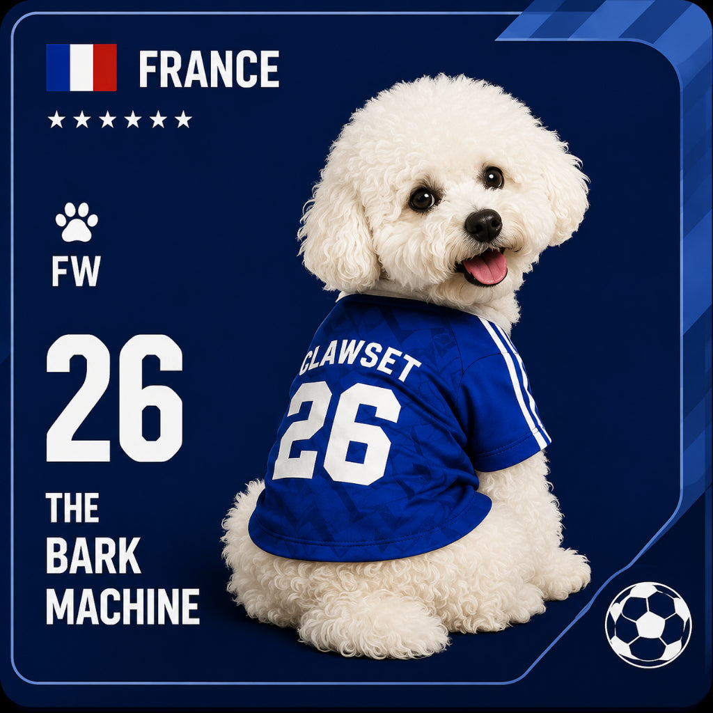 CLAWSET Studio® | PAW WORLD CUP 2026 - FRANCE เสื้อฟุตบอลสัตว์เลี้ยงทีมชาติฝรั่งเศส