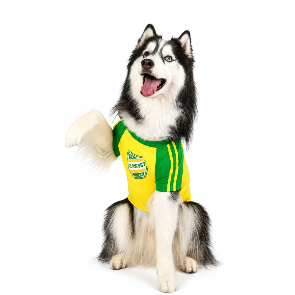 CLAWSET Studio® | PAW WORLD CUP 2026 -BRAZIL เสื้อฟุตบอลสัตว์เลี้ยงทีมชาติบราซิล