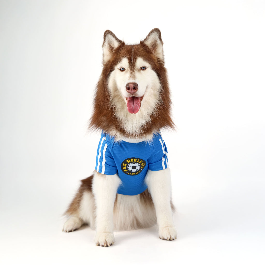 CLAWSET Studio® | PAW WORLD CUP 2026 - FRANCE เสื้อฟุตบอลสัตว์เลี้ยงทีมชาติฝรั่งเศส
