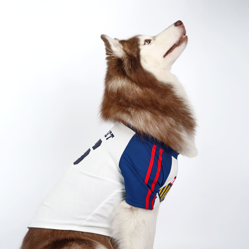 CLAWSET Studio® | PAW WORLD CUP 2026 - ENGLAND เสื้อฟุตบอลสัตว์เลี้ยงทีมชาติอังกฤษ