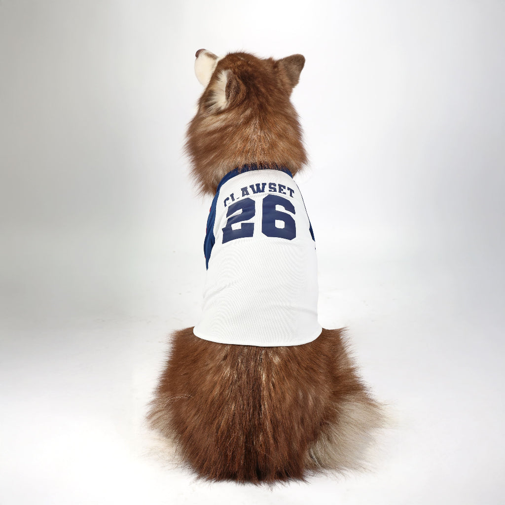 CLAWSET Studio® | PAW WORLD CUP 2026 - ENGLAND เสื้อฟุตบอลสัตว์เลี้ยงทีมชาติอังกฤษ