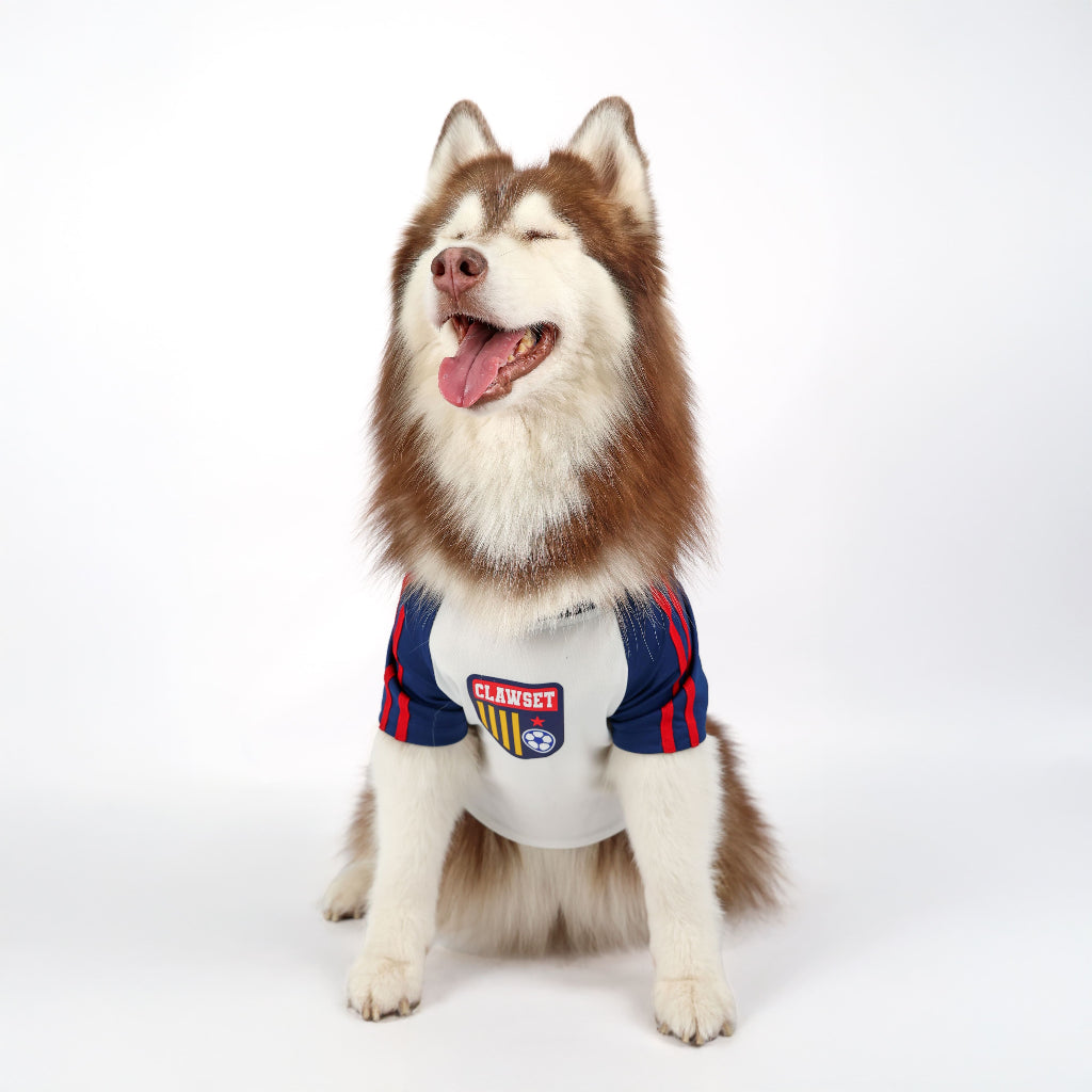 CLAWSET Studio® | PAW WORLD CUP 2026 - ENGLAND เสื้อฟุตบอลสัตว์เลี้ยงทีมชาติอังกฤษ