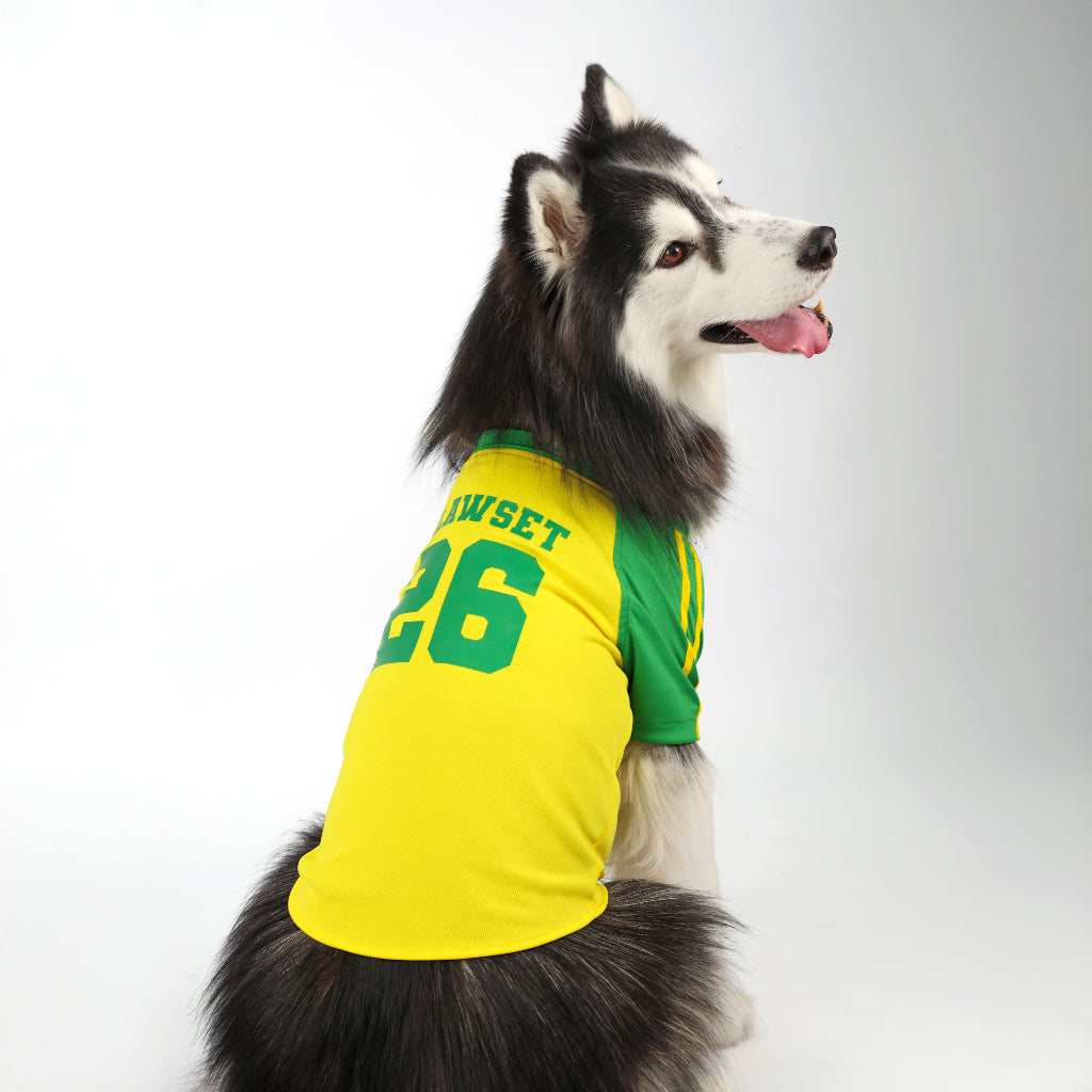 CLAWSET Studio® | PAW WORLD CUP 2026 -BRAZIL เสื้อฟุตบอลสัตว์เลี้ยงทีมชาติบราซิล